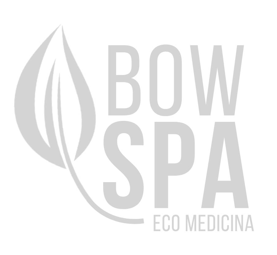 logo bowspa gris